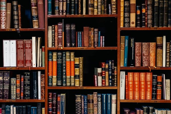 Comment se renseigner et s'orienter vers les études supérieures ?